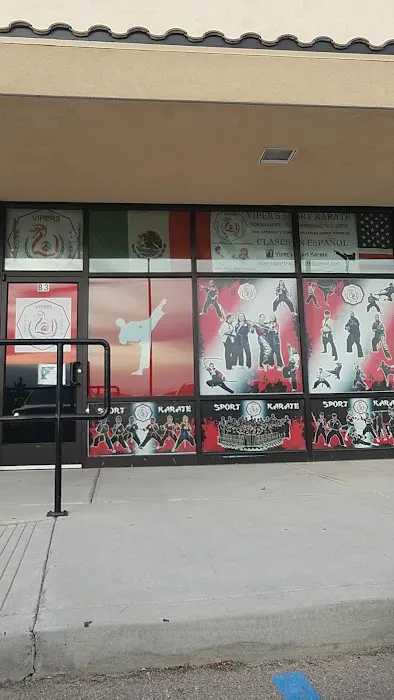 Viper's Sport Karate Picture 5