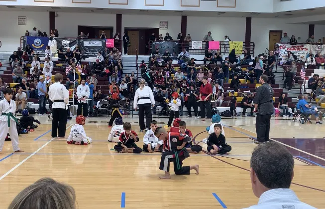 Viper's Sport Karate Picture 4