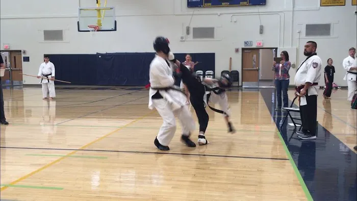 Viper's Sport Karate Picture 1