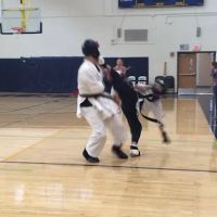 Viper's Sport Karate ico