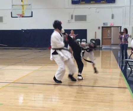 Viper's Sport Karate