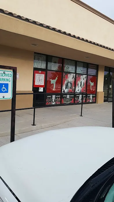 Viper's Sport Karate Picture 6