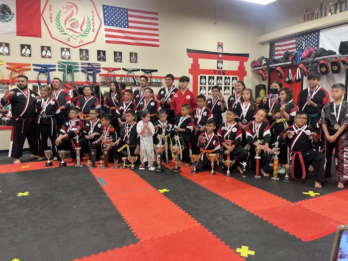 Viper's Sport Karate Picture 8