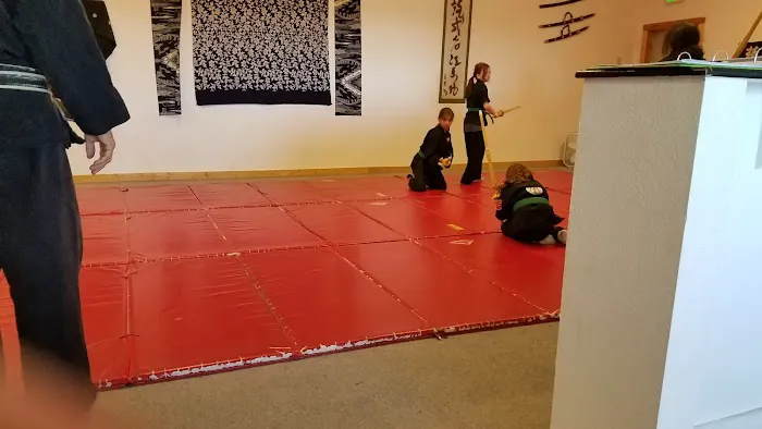 Rio Rancho Bujinkan Picture 3