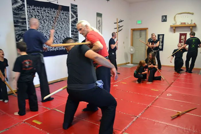 Rio Rancho Bujinkan Picture 9