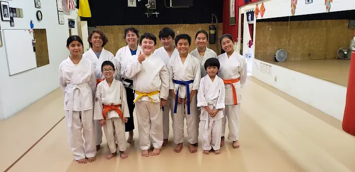 Bushido Kenkyukai Karate Picture 4