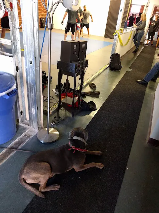 Krav Maga Raleigh Picture 3