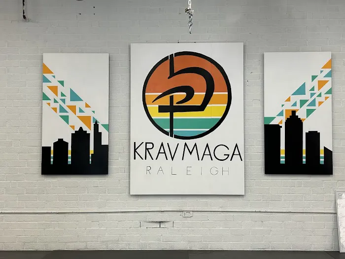 Krav Maga Raleigh Picture 2