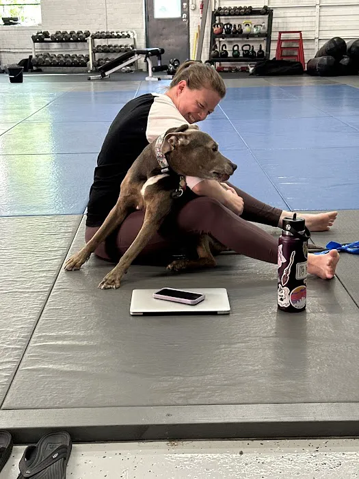 Krav Maga Raleigh Picture 9