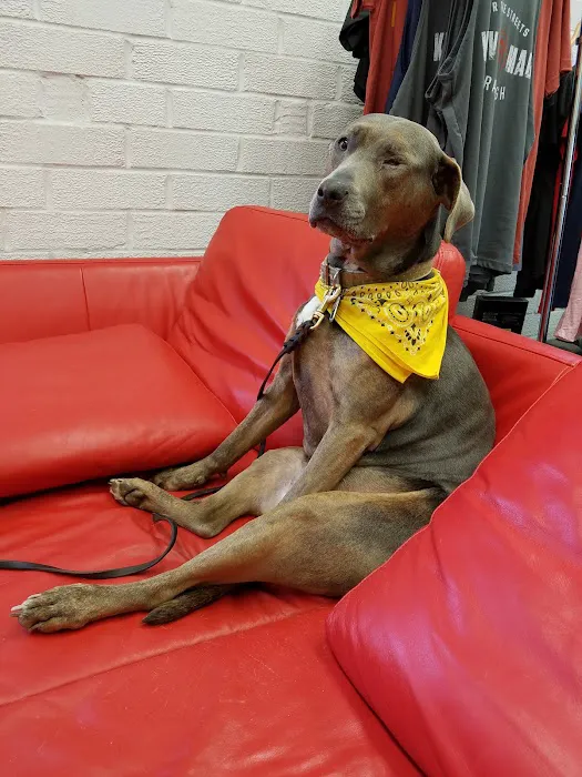 Krav Maga Raleigh Picture 10