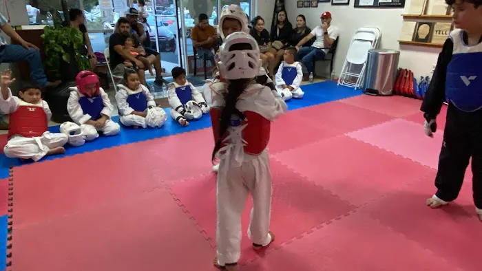 ILAMA Taekwondo Picture 2
