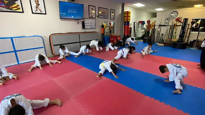 ILAMA Taekwondo Picture 7