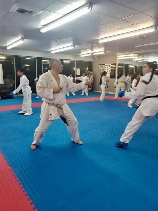 Bushido USA Dojo Picture 3