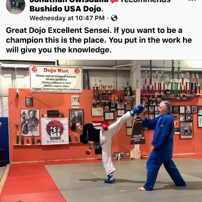 Bushido USA Dojo Picture 9