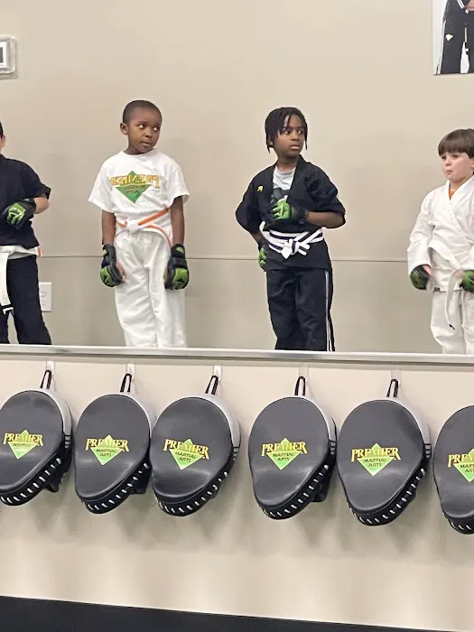 Premier Martial Arts Garner Picture 2