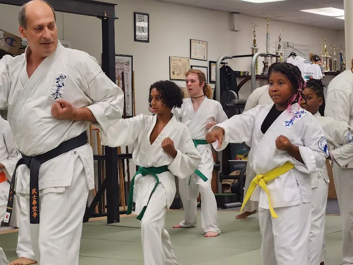 Bushiken Karate Saint-Cyr Dojo Picture 8