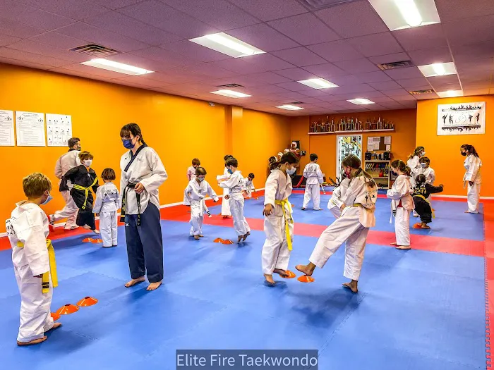 Elite Fire Taekwondo Picture 5