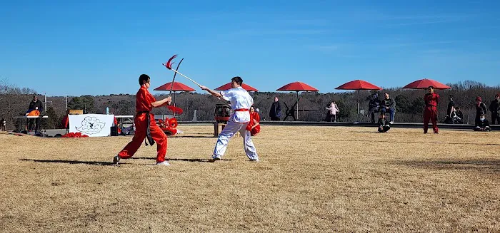 East Cloud Kungfu, LLC Picture 2