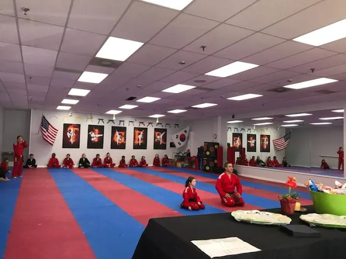 Master Chang's Martial Arts North Ridge Picture 9