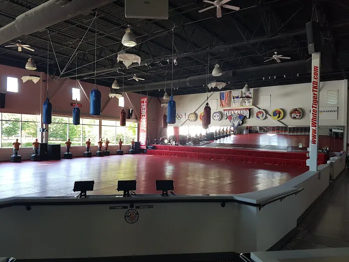 White Tiger Taekwondo & Martial Arts Picture 4