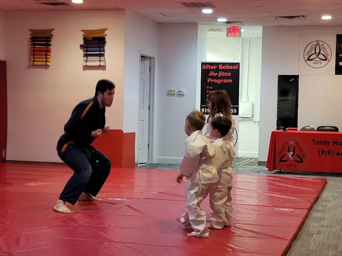 Trinity Martial Arts Academy Picture 1