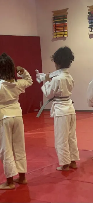 Trinity Martial Arts Academy Picture 4