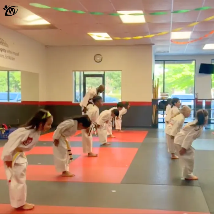 Vision Martial Arts Picture 4