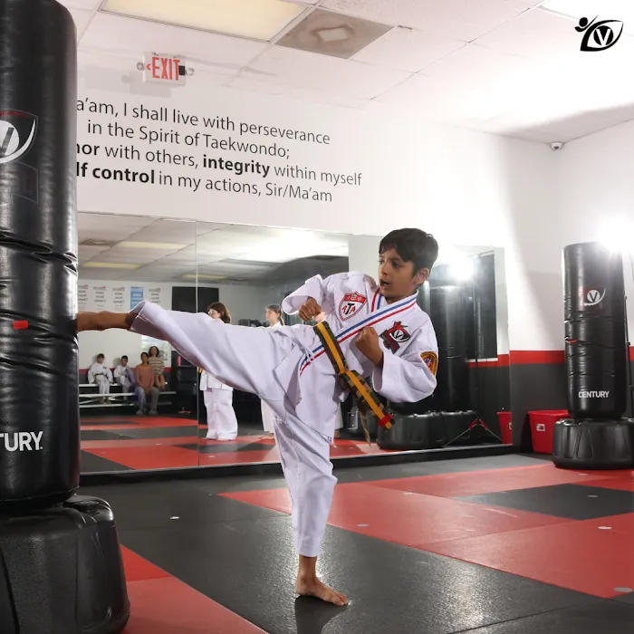 Vision Martial Arts Picture 7