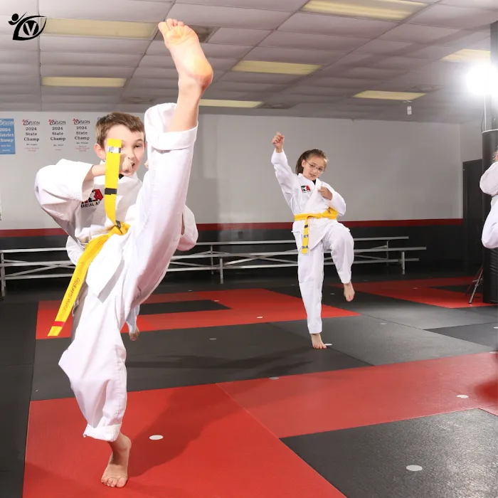 Vision Martial Arts Picture 8