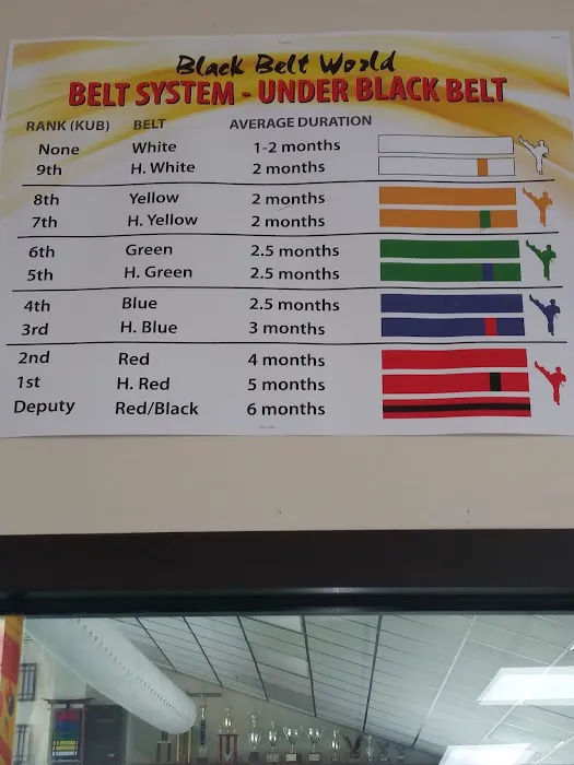 Black Belt World Inc Picture 3