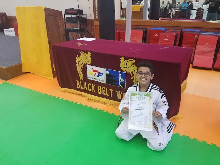 Black Belt World Inc Picture 8