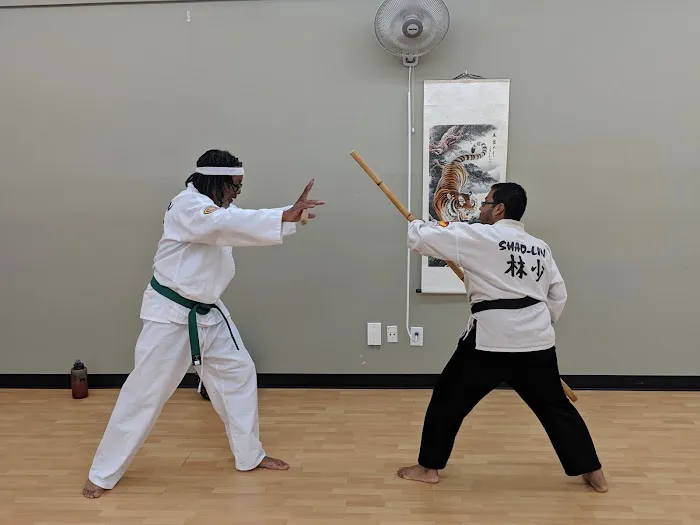 Chinese Shao-Lin Center of Raleigh Picture 2