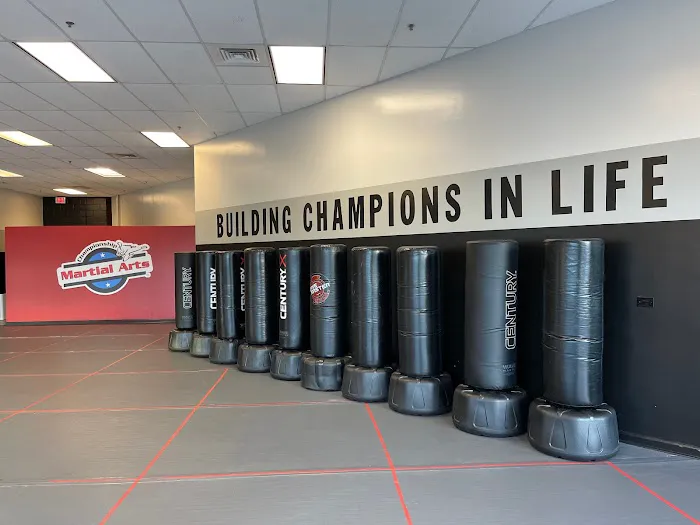 Championship Martial Arts Picture 8