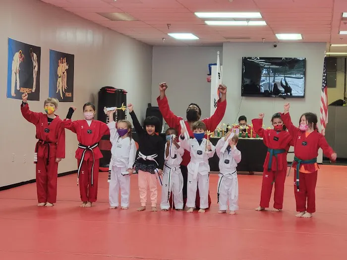 Master Chang's Martial Arts Kildaire Farm Picture 5