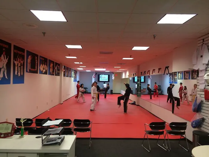 Master Chang's Martial Arts Kildaire Farm Picture 9