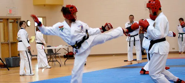 Peck's TaeKwonDo America Picture 4