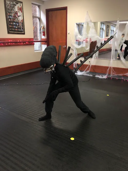 Peck's TaeKwonDo America Picture 9