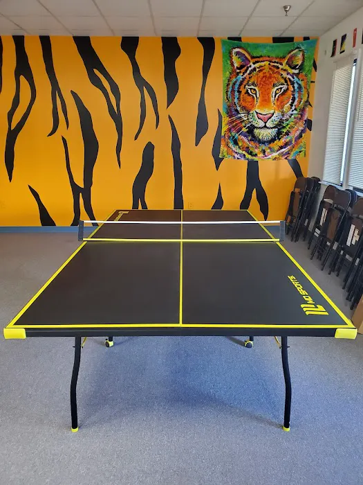 Tigers Black Belts Picture 3