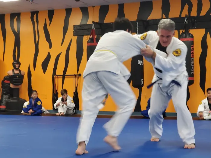 Tigers Black Belts Picture 10