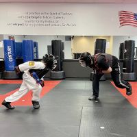 Vision Martial Arts ico