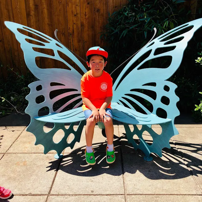 Kim's Taekwondo Center Picture 5