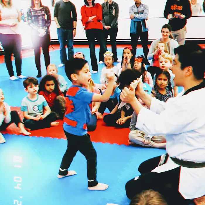 Kim's Taekwondo Center Picture 10