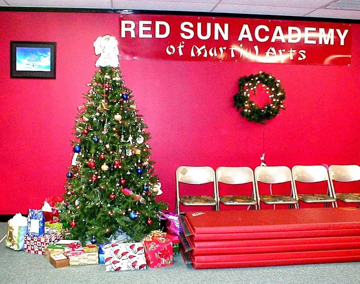 Red Sun Academy Picture 3