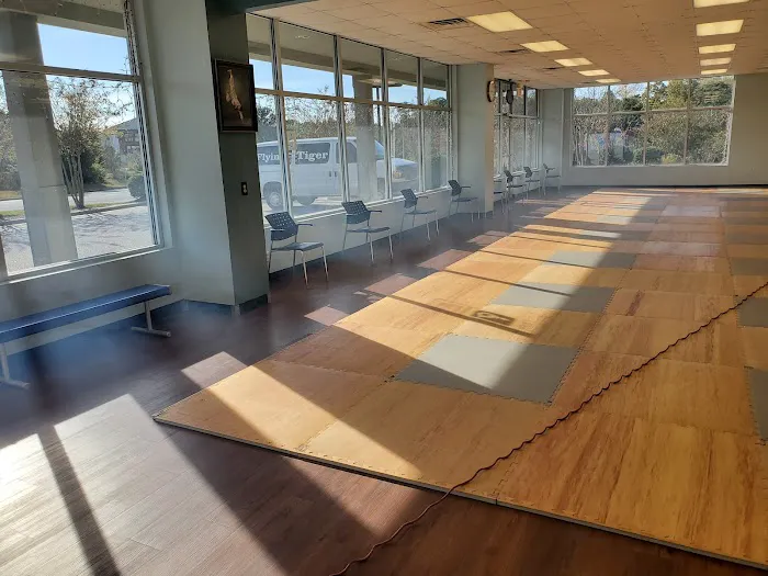 Flying Tiger Martial Arts Picture 5