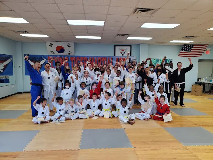 Flying Tiger Martial Arts Picture 4