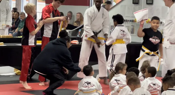 Snap Kick Martial Arts - Cary, NC Picture 3