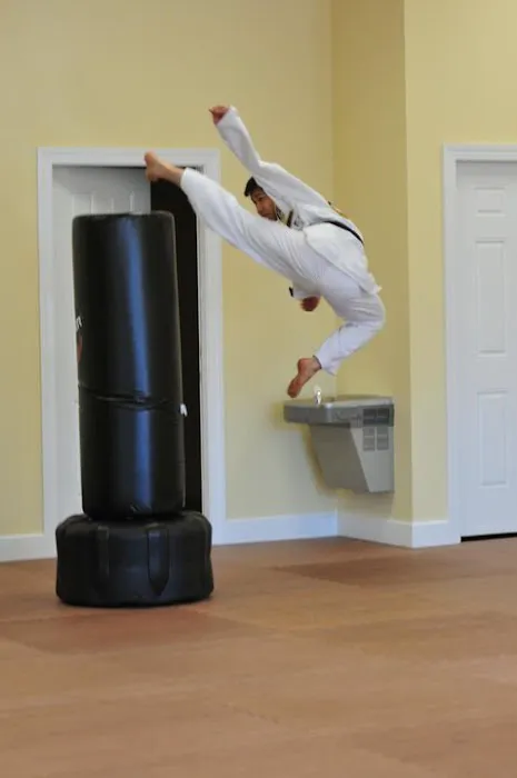 Morrisville Taekwondo America Picture 1