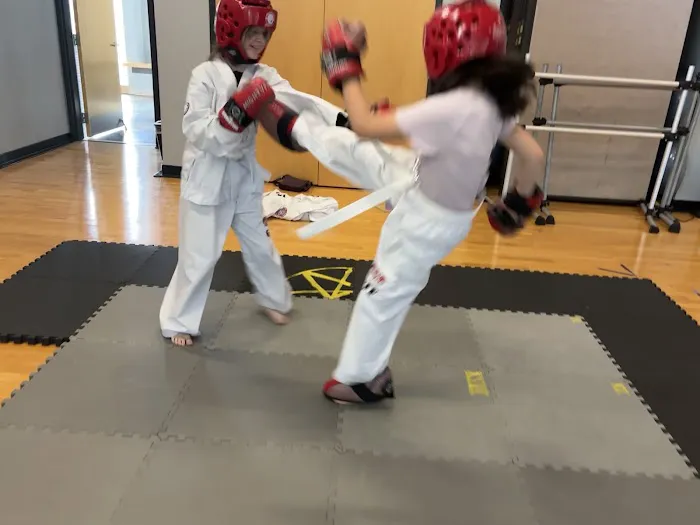 Clayton Taekwondo Picture 3