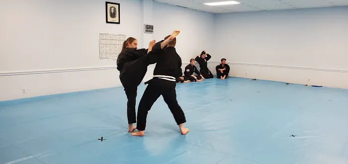 Karate International of West Raleigh Picture 8