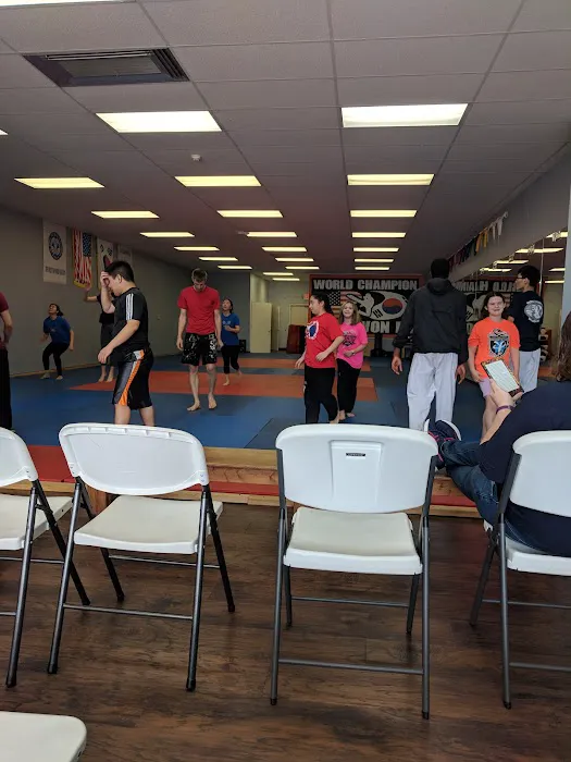 World Champion Tae Kwon Do Picture 1